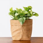 Why Paper Bags for Cement?